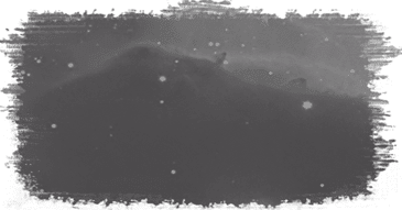 Ukrainian Genealogy - archival work